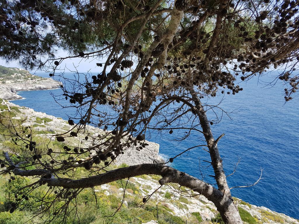Villa Bocca Del Pozzo Gagliano del Capo Exterior foto